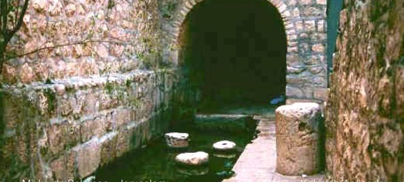 Intro al Viaje&nbsp;Mistico